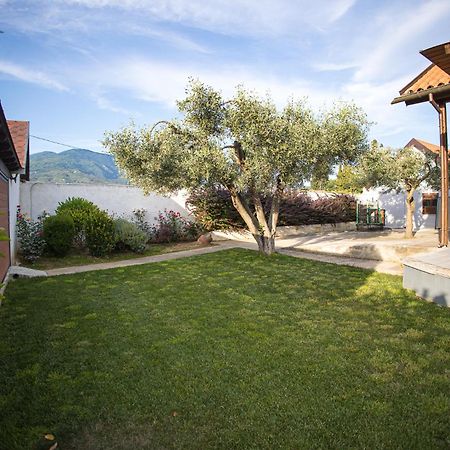 Countryside Luxury Studios Kato Lekhonia Exterior photo